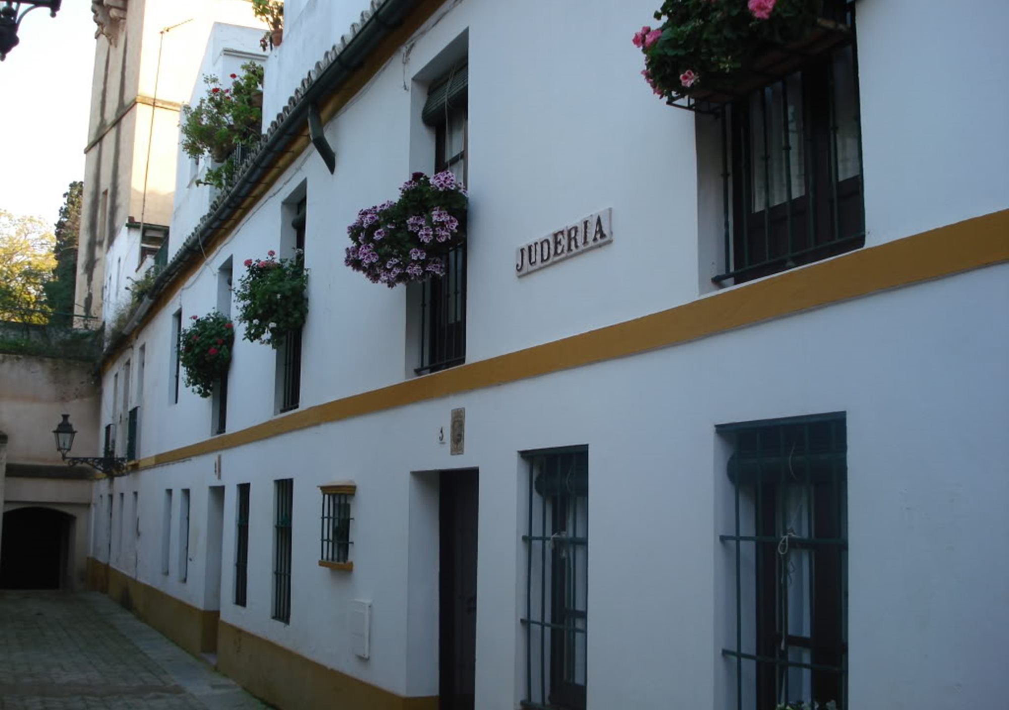 visitar Sevilla Fascinante Barrio de Santa Cruz y la Catedral